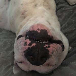 Meet your Posher, Jennasis